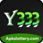 y333
