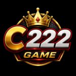 c222 Game