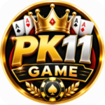 PK11 Game