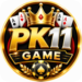 PK11 Game